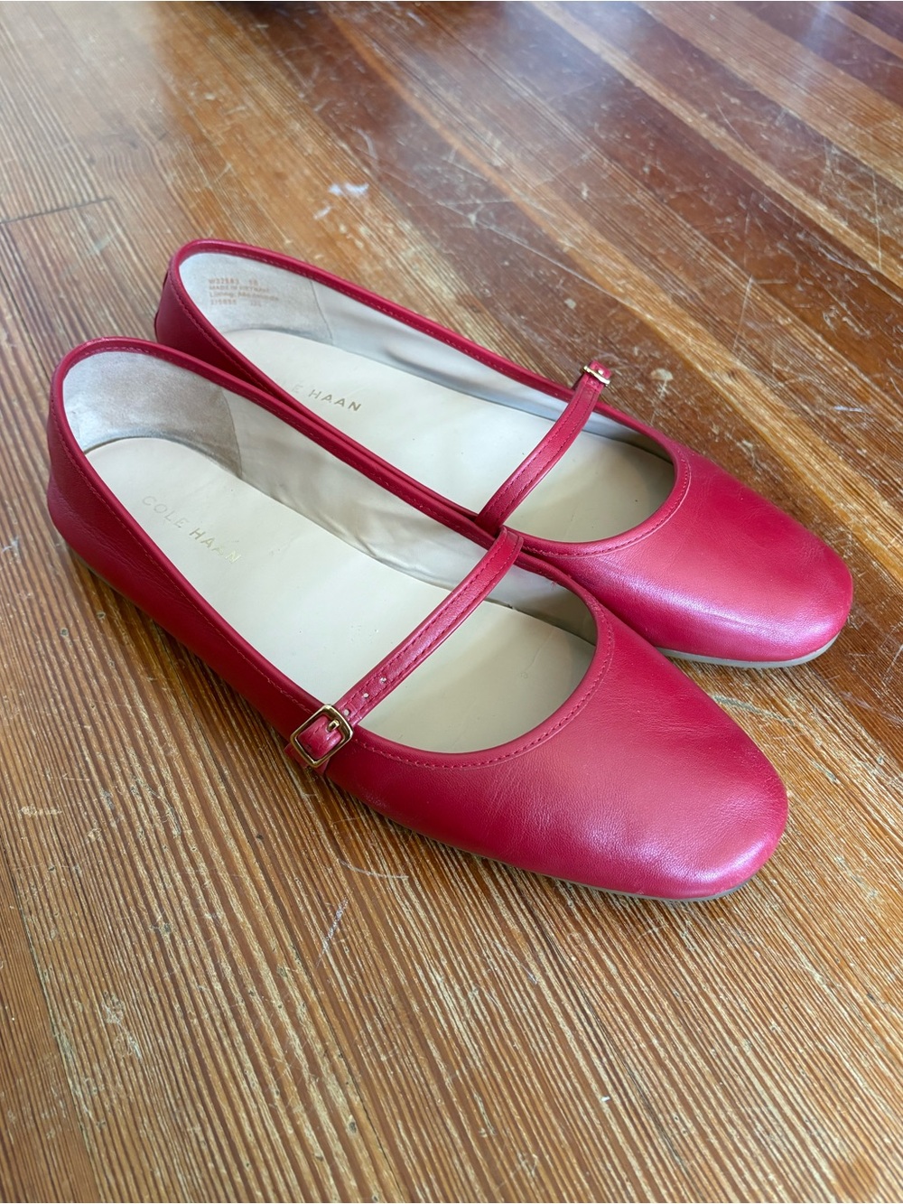 Cole Haan Red Leather Mary Jane Ballet Flats with Strap